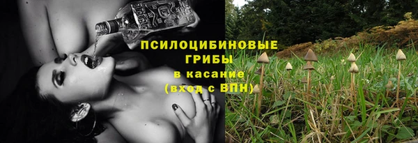 ГАЛЛЮЦИНОГЕННЫЕ ГРИБЫ Алексин